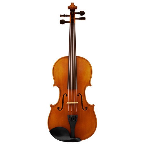 viola