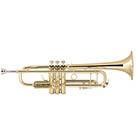 Category Trumpets & Cornets image