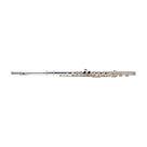 Category Flutes & Piccolos image