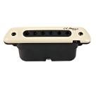 Category Guitar & Folk Pickups image