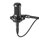 Category Condenser Microphones image