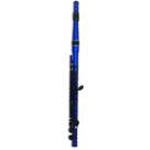 Category Student Flute image