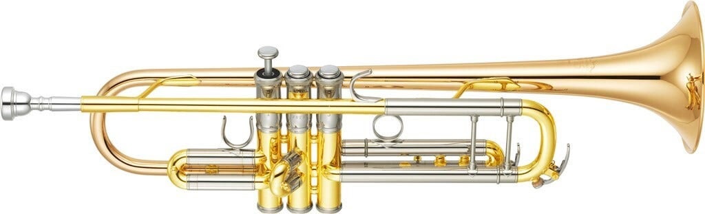 2nd and 3rd valves