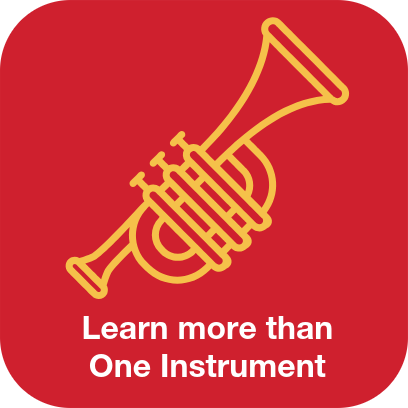 Learn more than one instrument