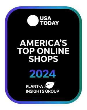 graphic, an image with the text 'USA Today America's Top Online Shops 2024'